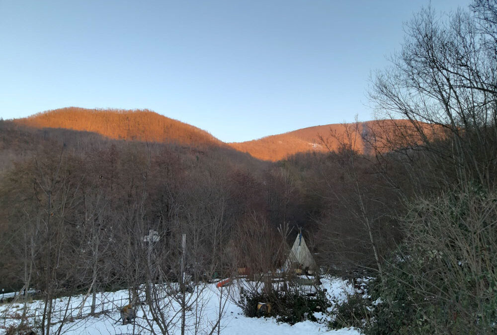 Fai un tuffo nel passato al parco Indiano
