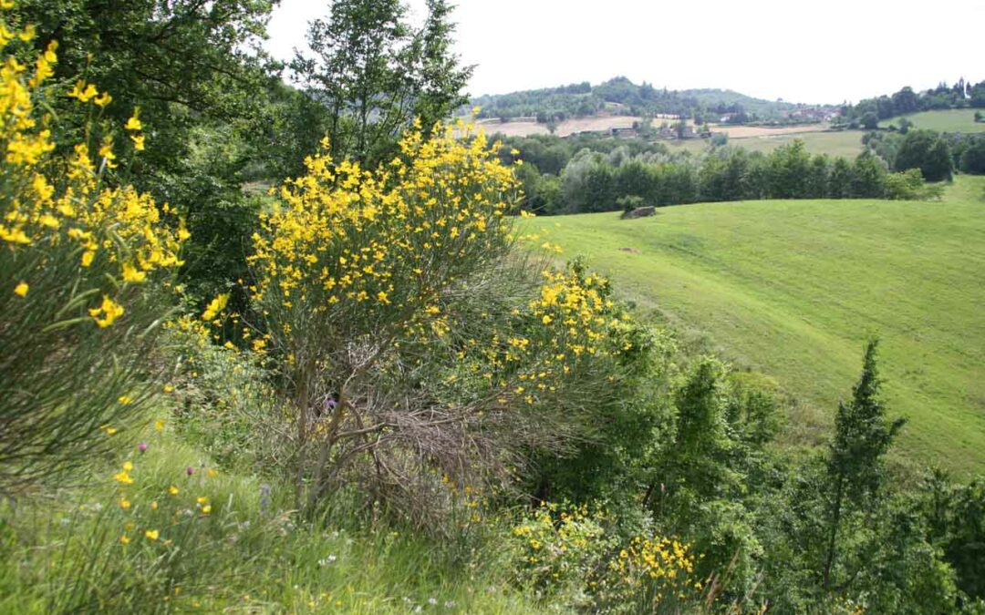 Un percorso nella biodiversità