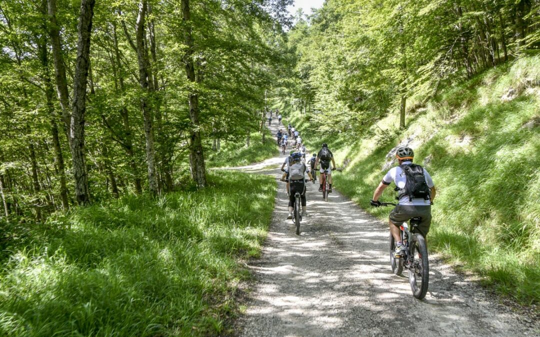 Tour in e-bike a Cesena e dintorni