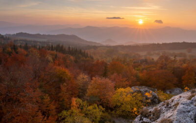 Valle Savio Autunno Eventi